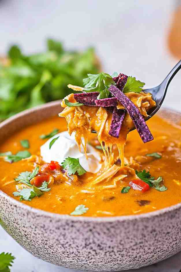 Chili’s Chicken Enchilada Soup